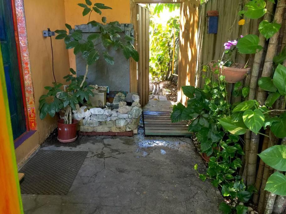 Miami Bungalow Oasis Near Everglades & The Keys Cutler Bay Dış mekan fotoğraf